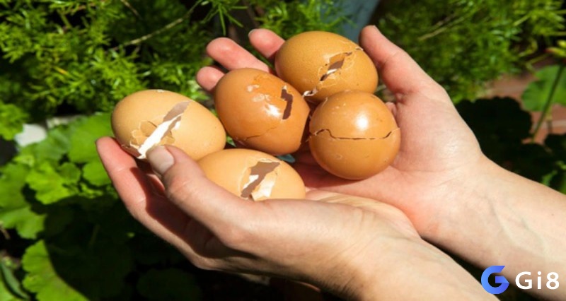 Giải mã giấc mơ thấy gà đẻ trứng bị vỡ nát hoặc hỏng thể hiện sự mát mát trong cuộc sống